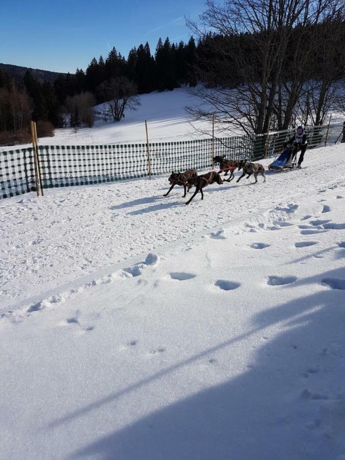 Fewo Mit Pool Haus Enere Au Todtmoos Extérieur photo